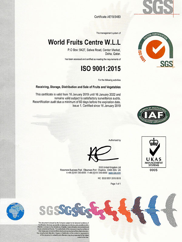 ISO Certificate 9001:2015